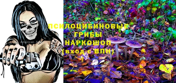 стаф Краснослободск