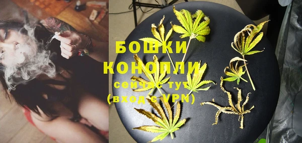 сатива Красноперекопск