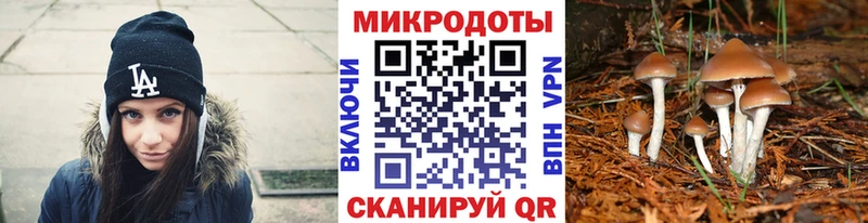 Галлюциногенные грибы MAGIC MUSHROOMS  Купить закладки  Малоярославец 